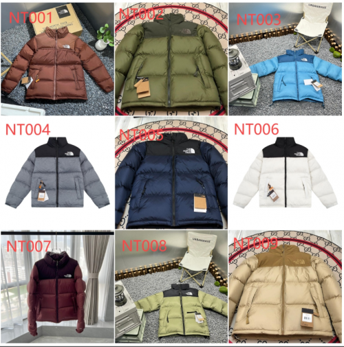 The North Face TNF 1996 Retro Nuptse Puffer Jacket Multicolor