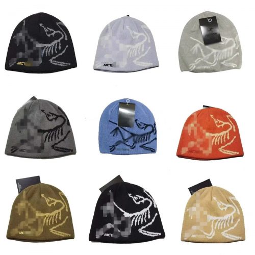 Arc'teryx Bird Head Toque Knit Beanie Multicolor