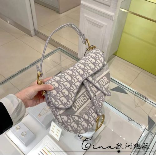 Dior Saddle Bag Iconic Embroidered Canvas Shoulder Bag Gray