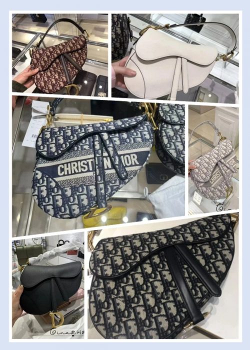 Dior Saddle Bag Iconic Canvas Shoulder Bag Multicolor