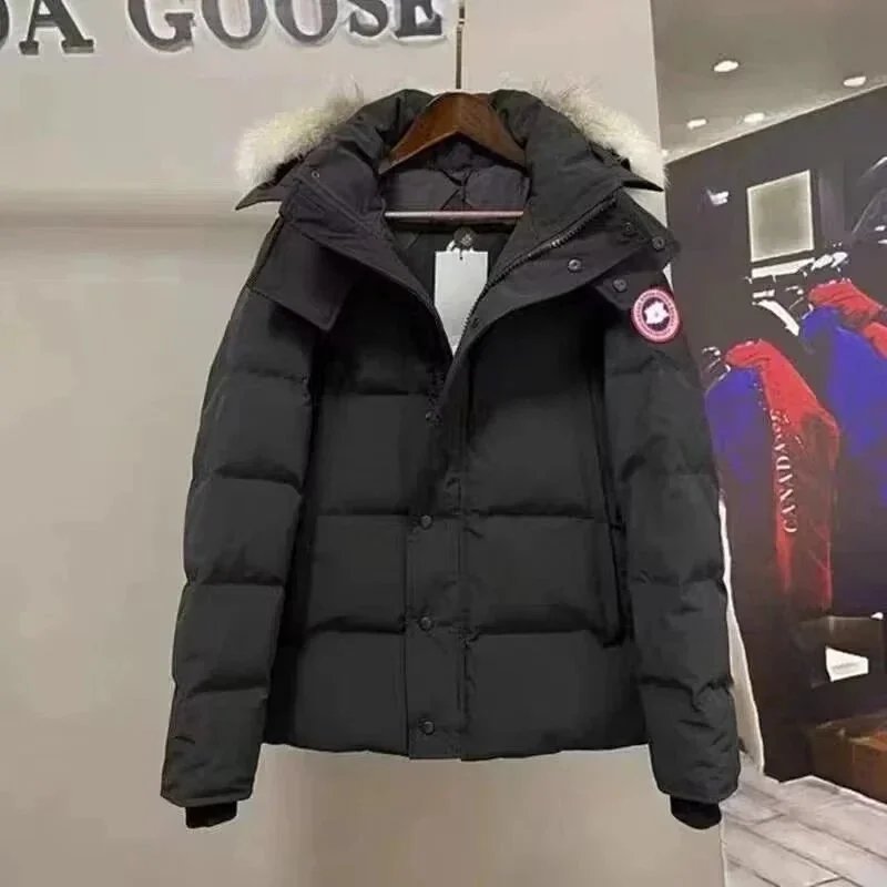 Canada Goose-1 Canada Goose-1