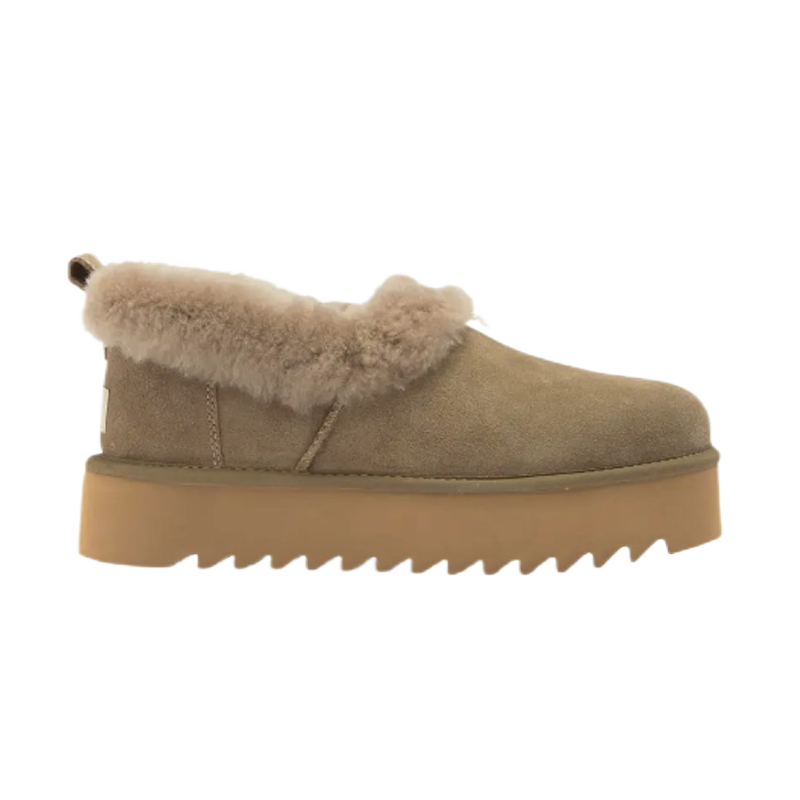16 16