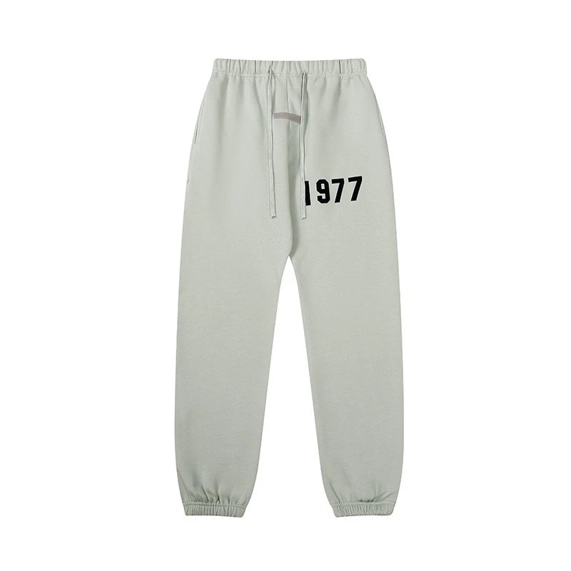 31 31