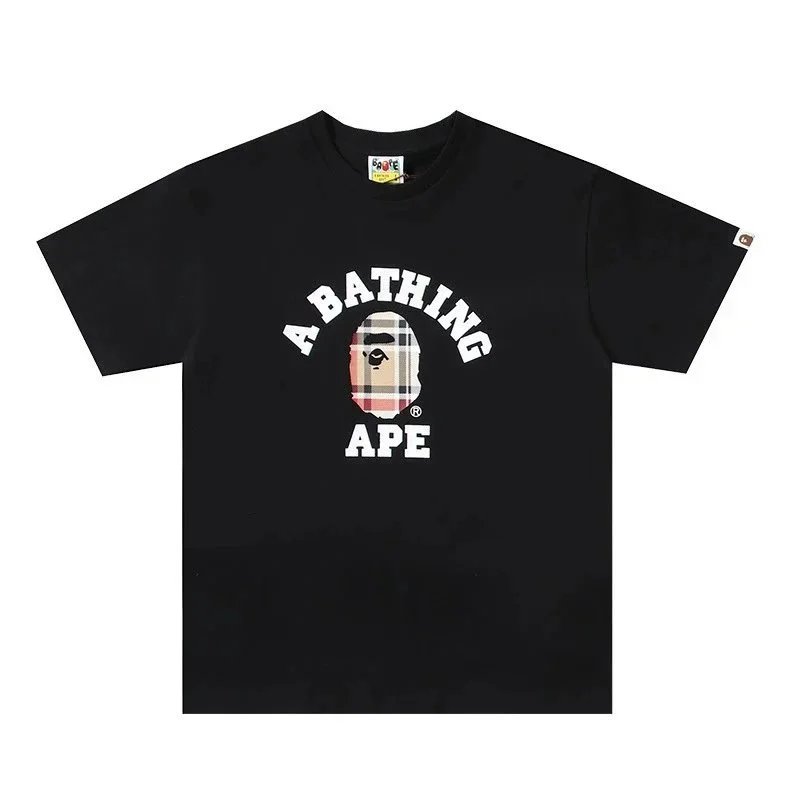 31 31