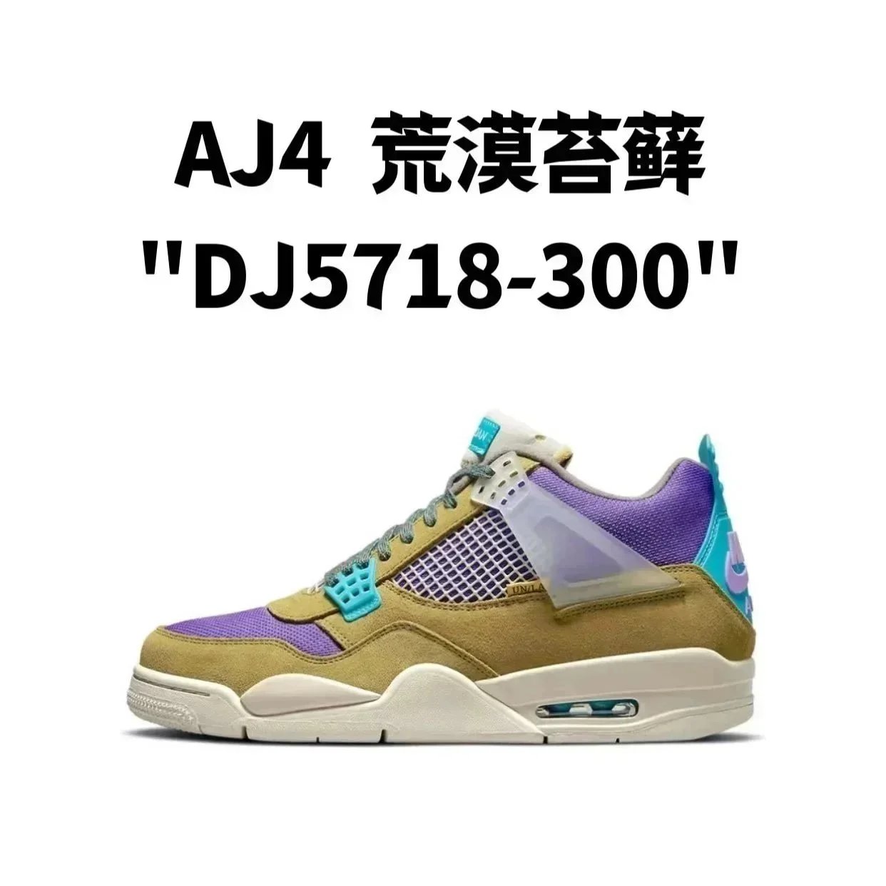 AJ4  荒漠苔藓