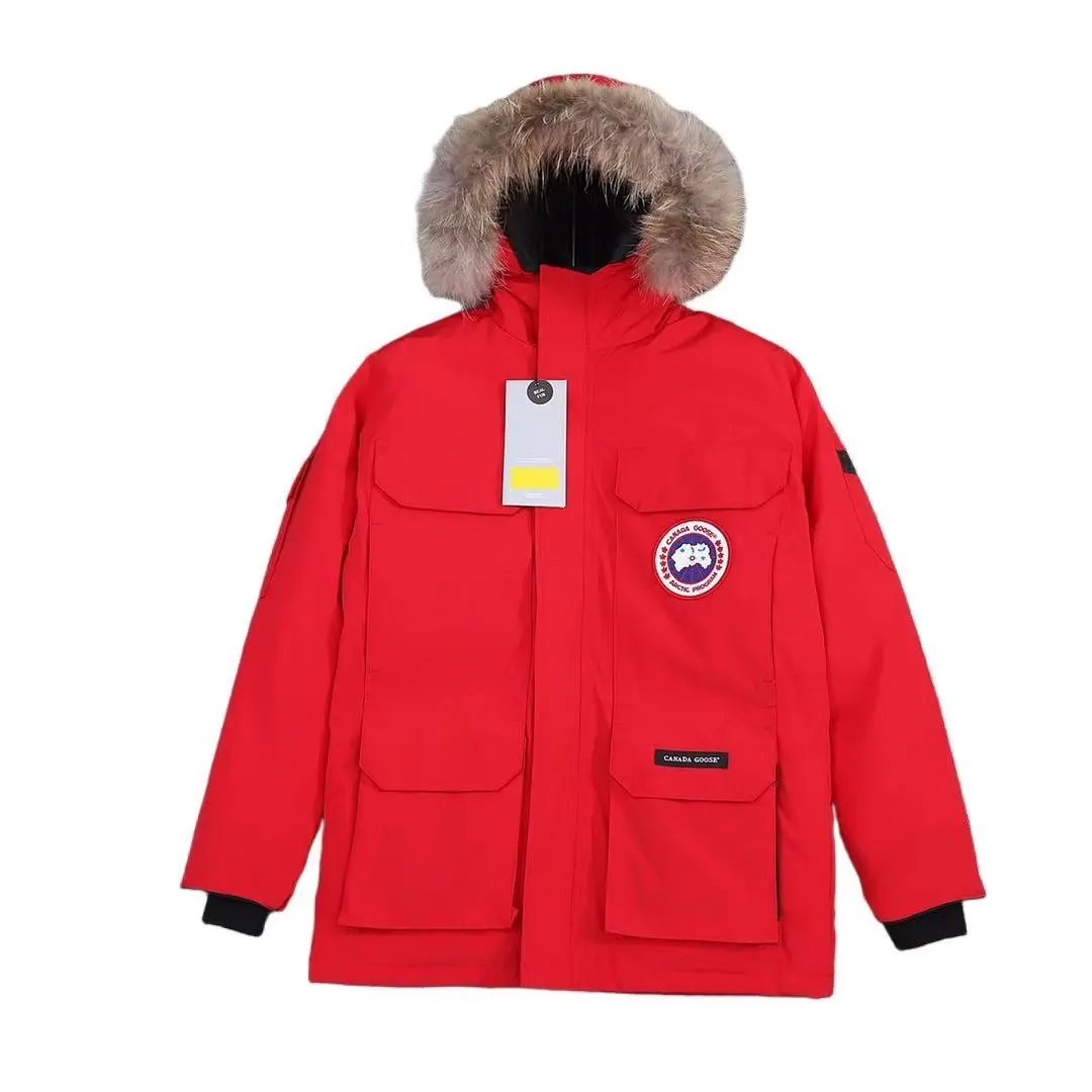 Goose6