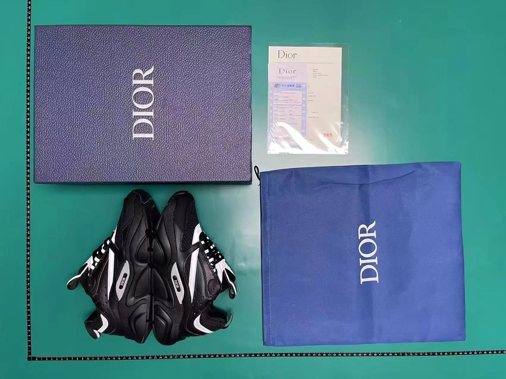 1（收藏更快发货）DIOR B22