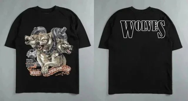 DST173 DST173