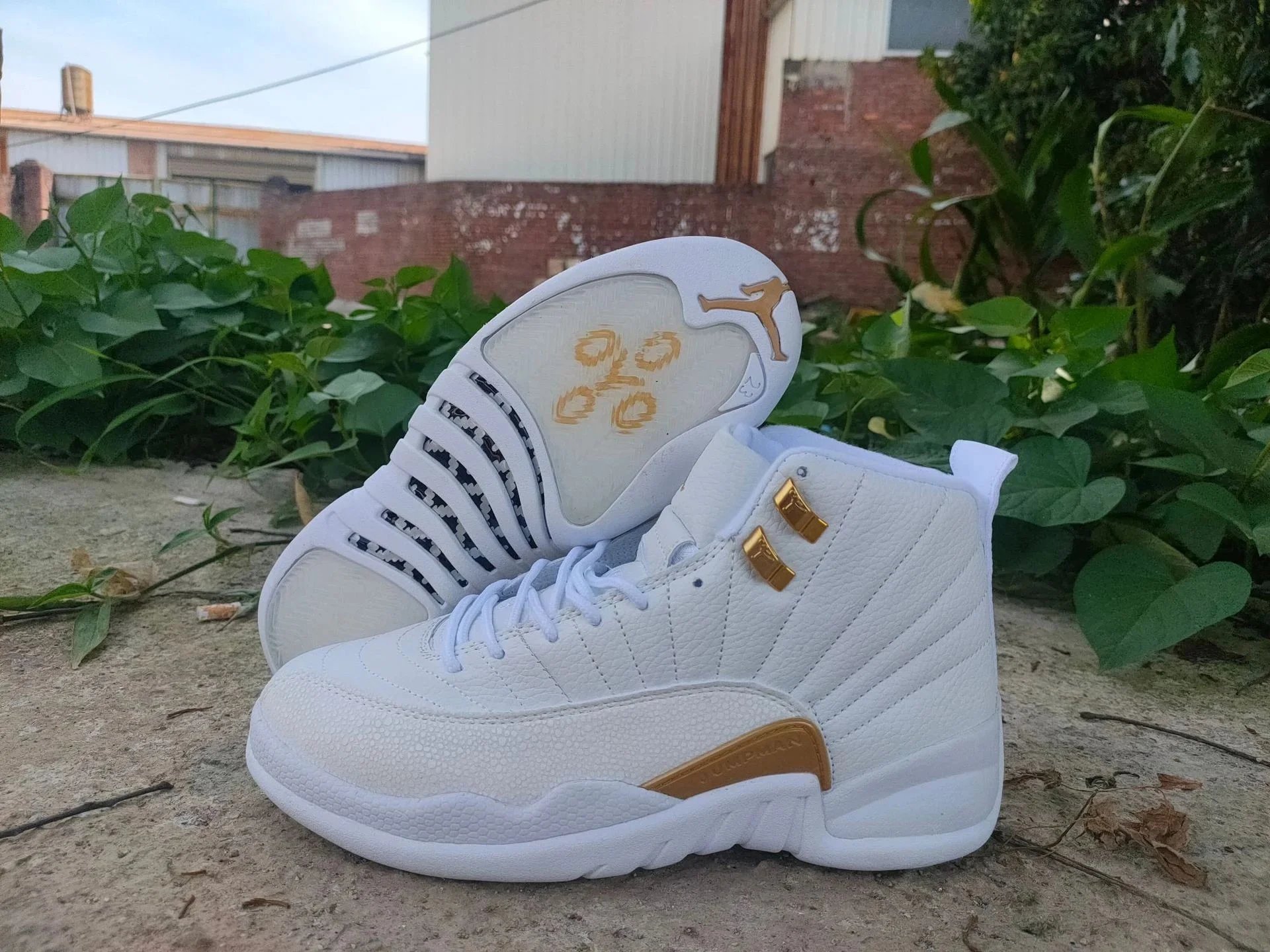 aj12-白金 aj12-白金