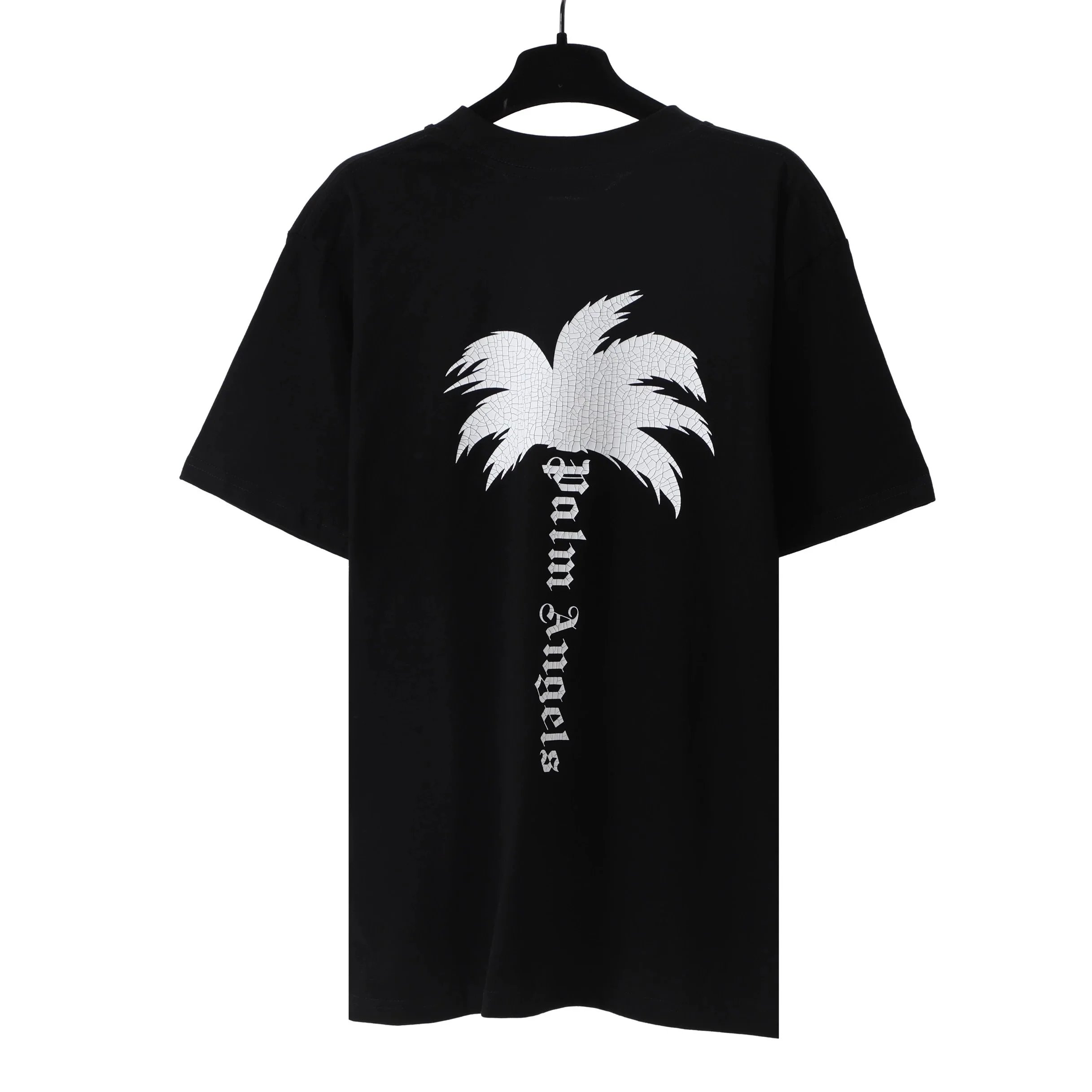 23 23