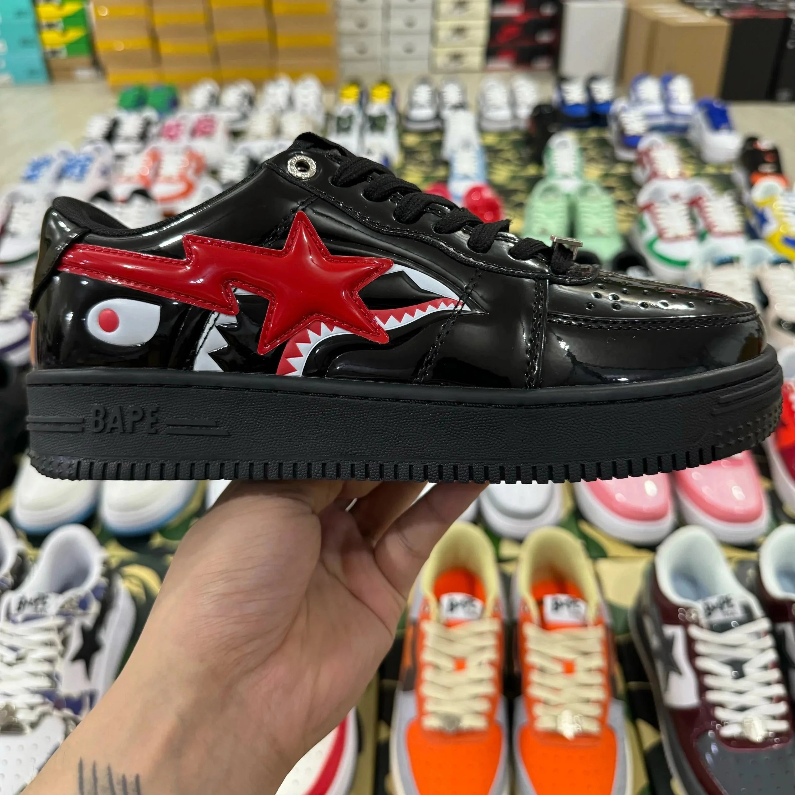 黑红鲨鱼 黑红鲨鱼