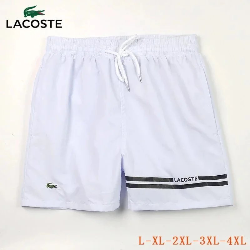 31 31
