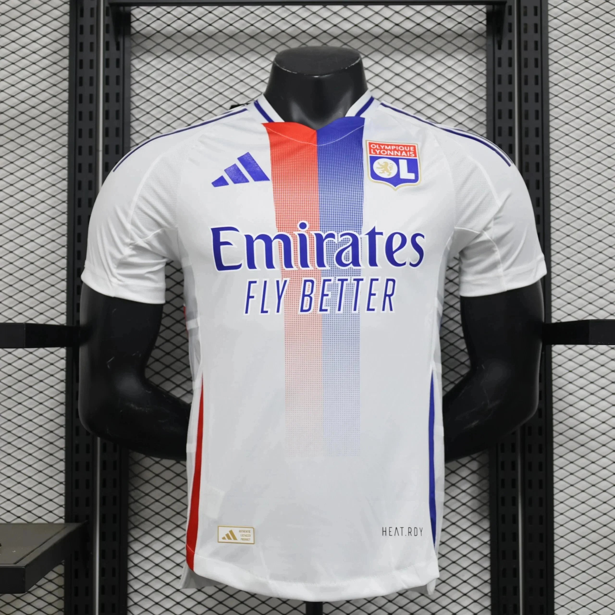 010934016新里昂主 010934016新里昂主