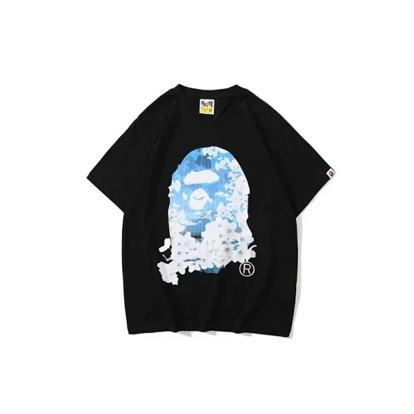 31 31