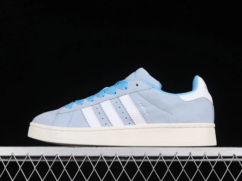26 26
