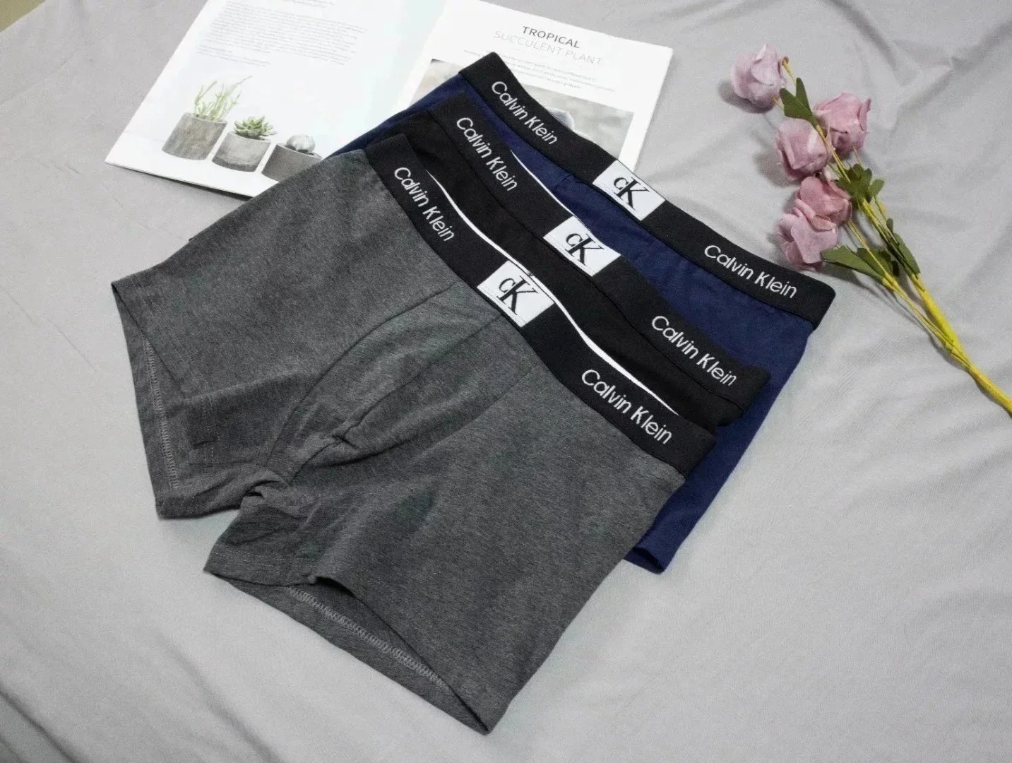 款式3:一盒三条 清仓JJNK 款式3:一盒三条 清仓JJNK