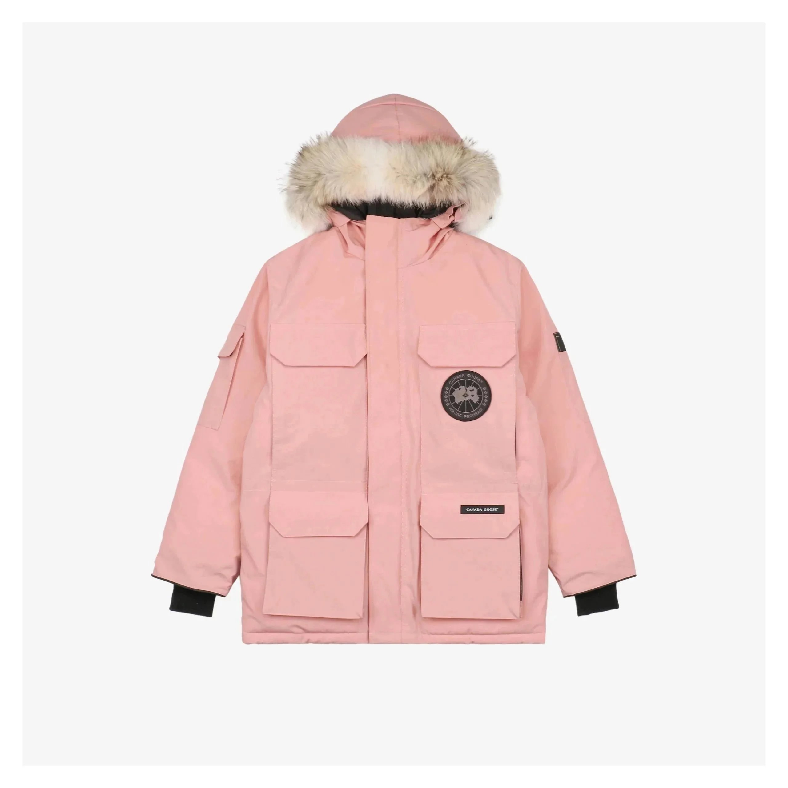 24 24