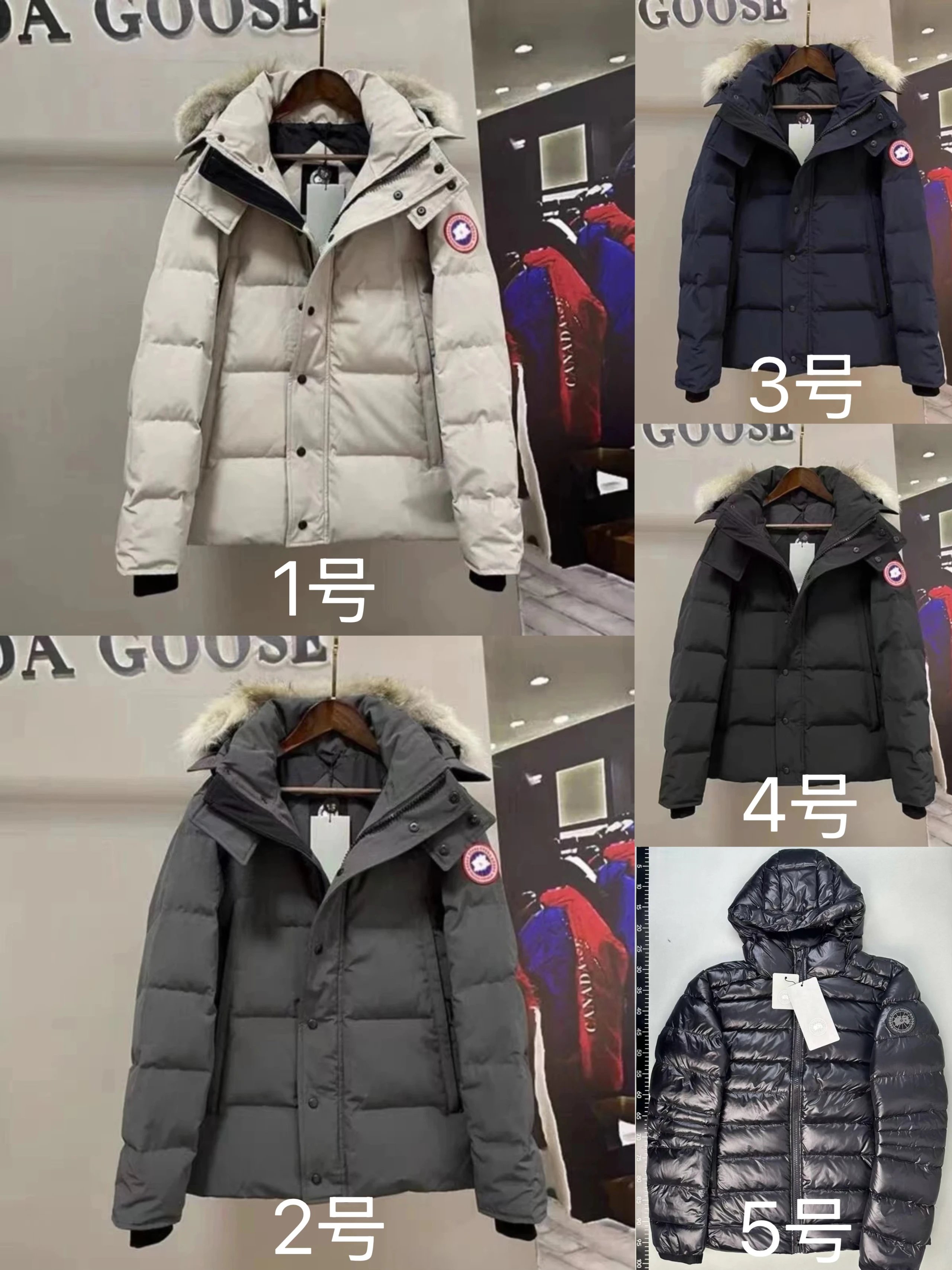 canada goose canada goose
